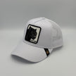 Gorra Panther