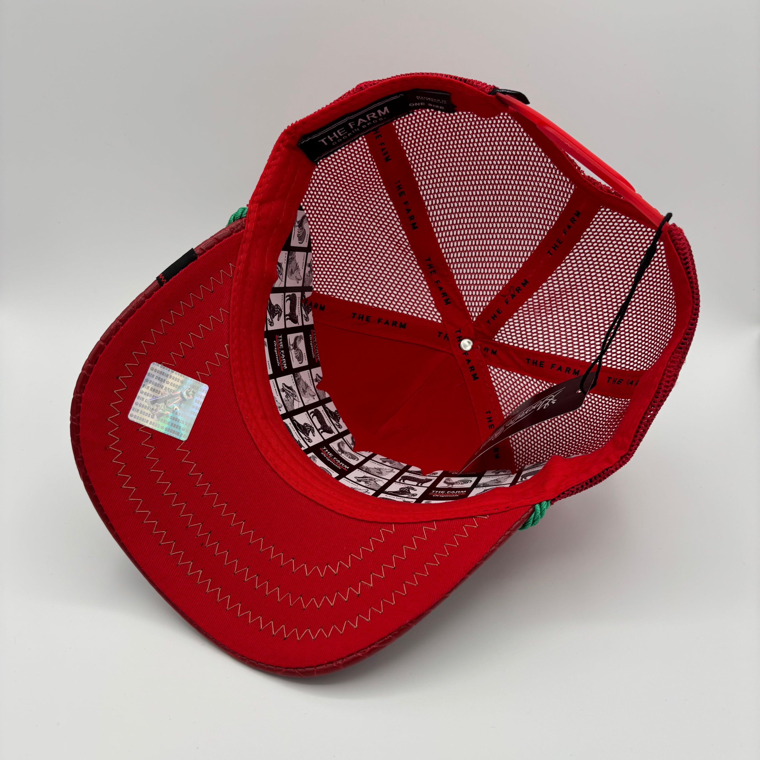 Gorra Dragón