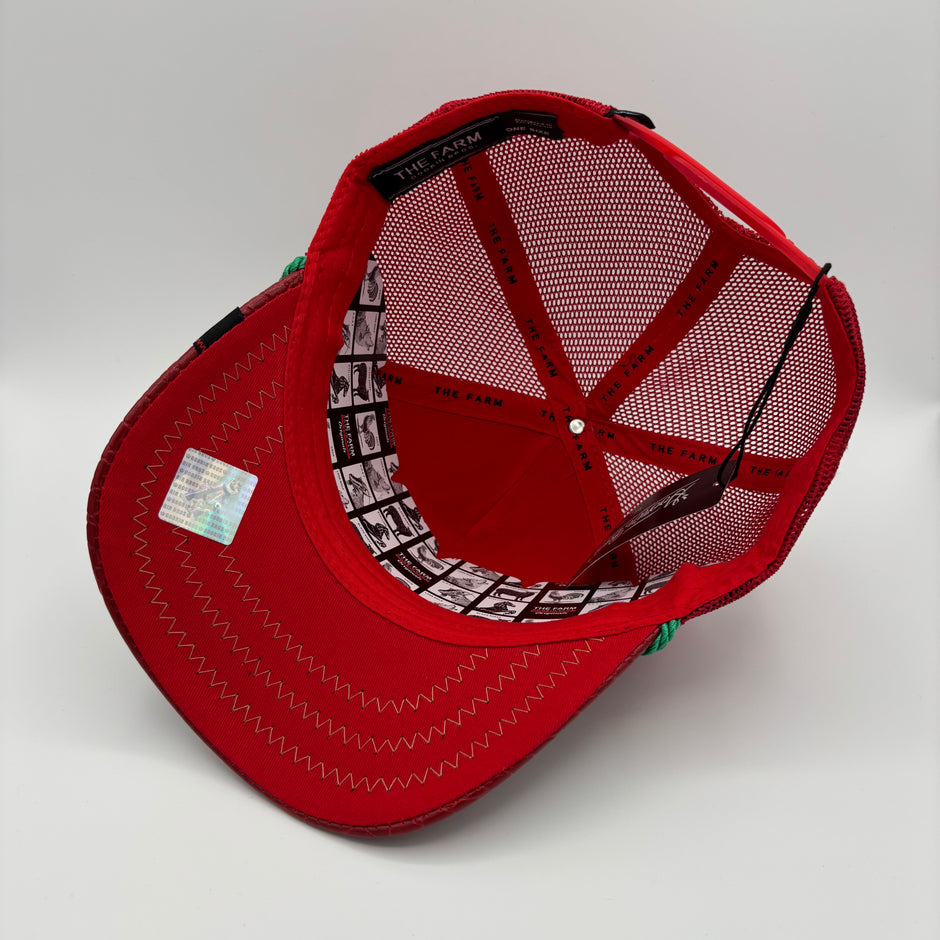 Gorra Dragón