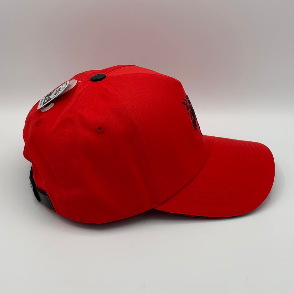 Gorra Equina 221